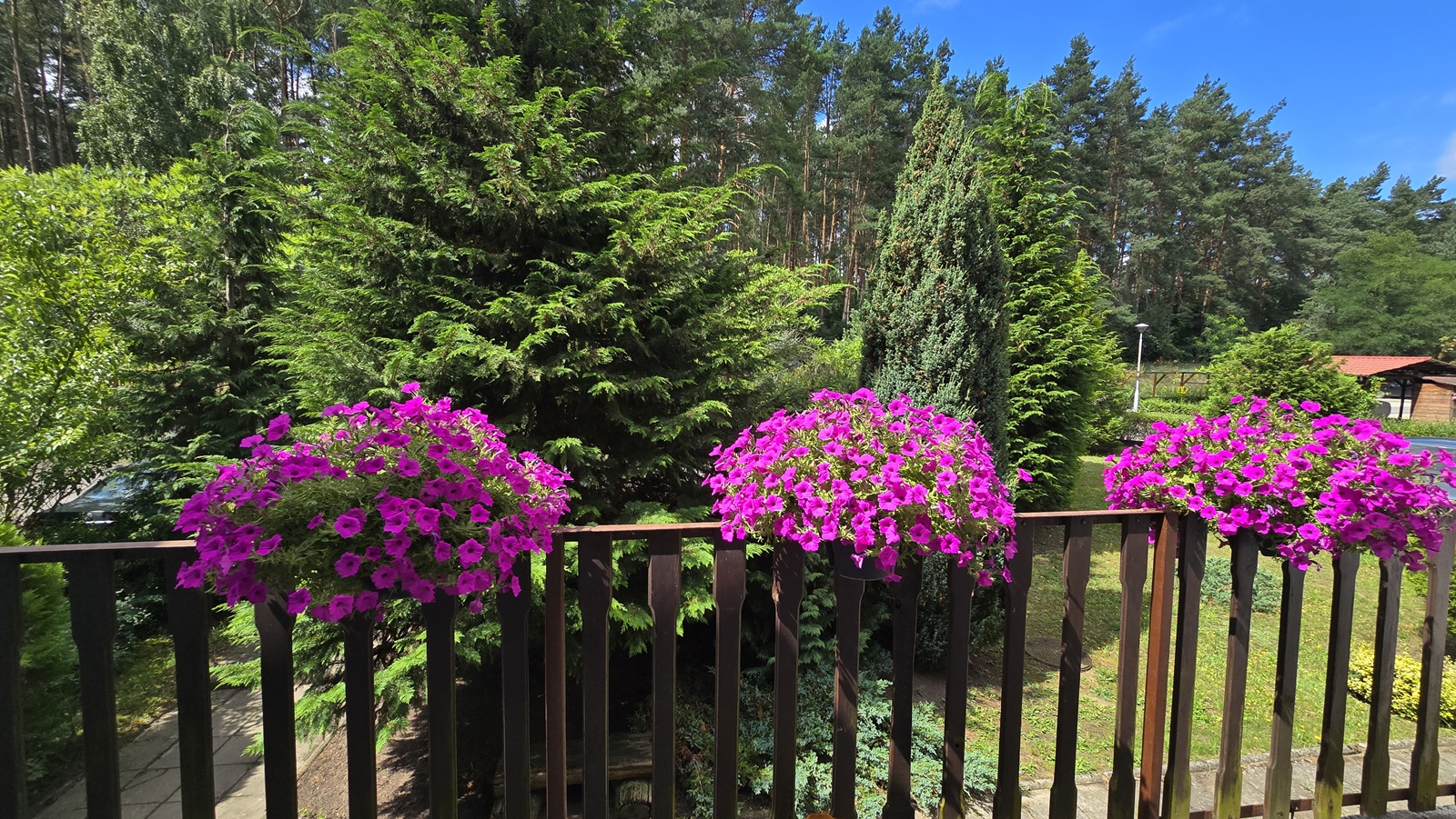 banner-image