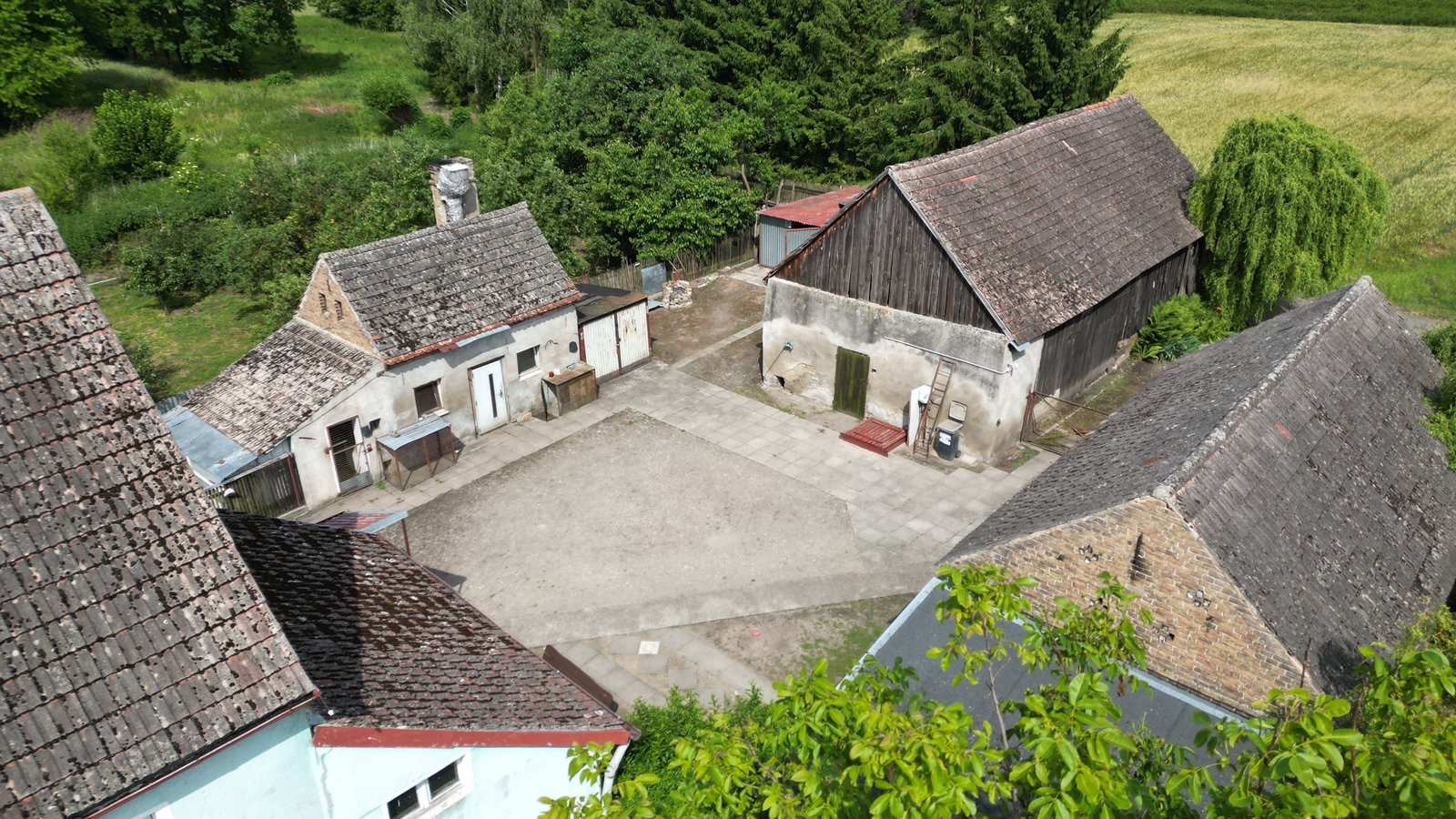banner-image