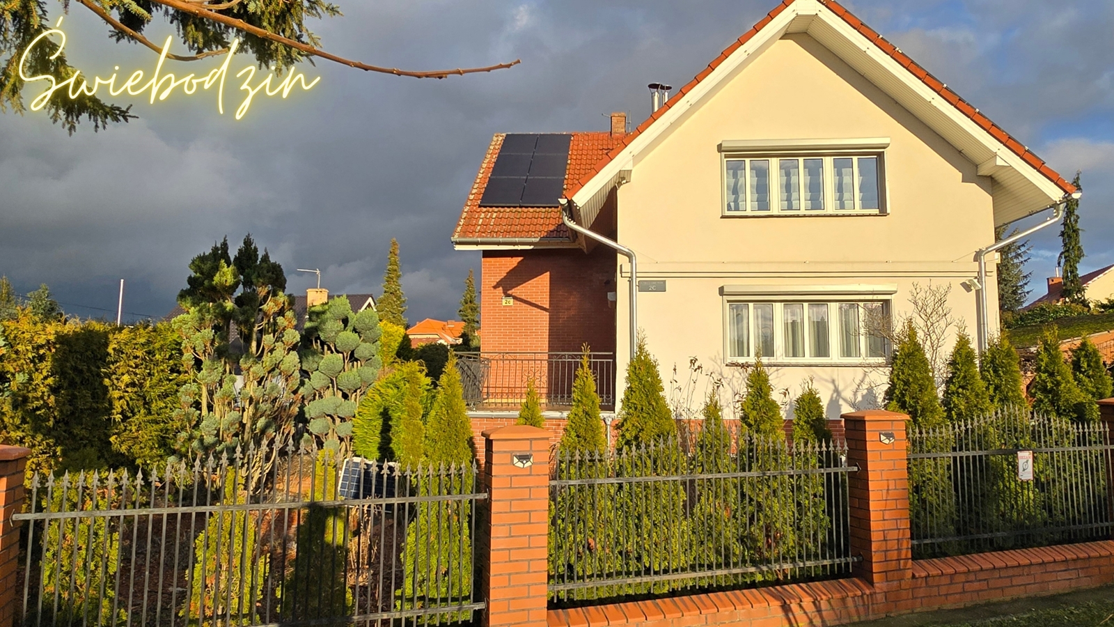 banner-image