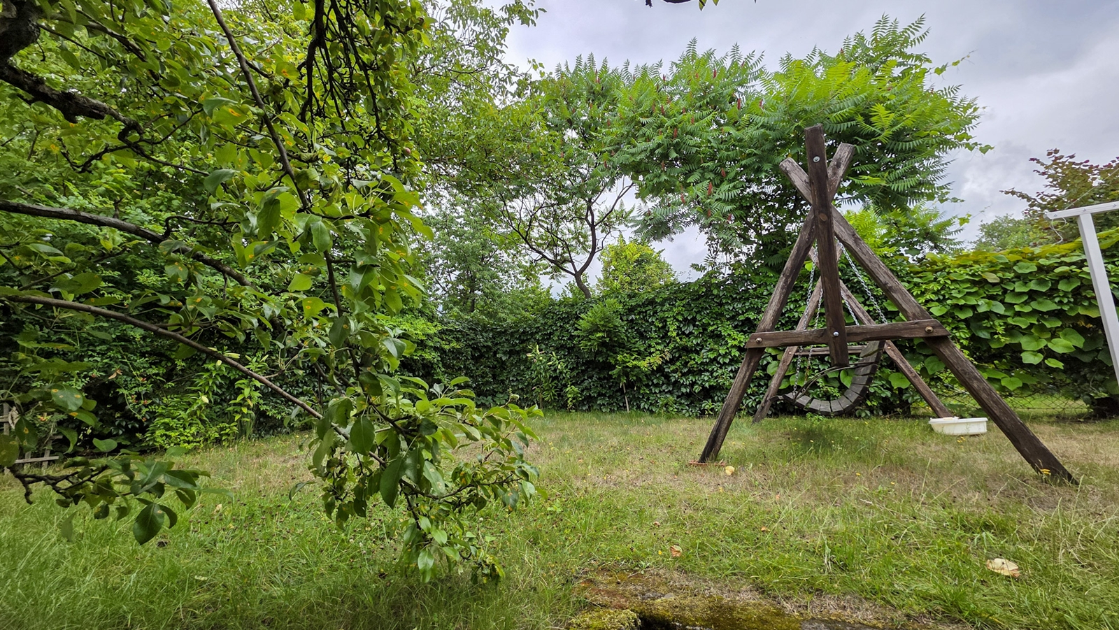 banner-image