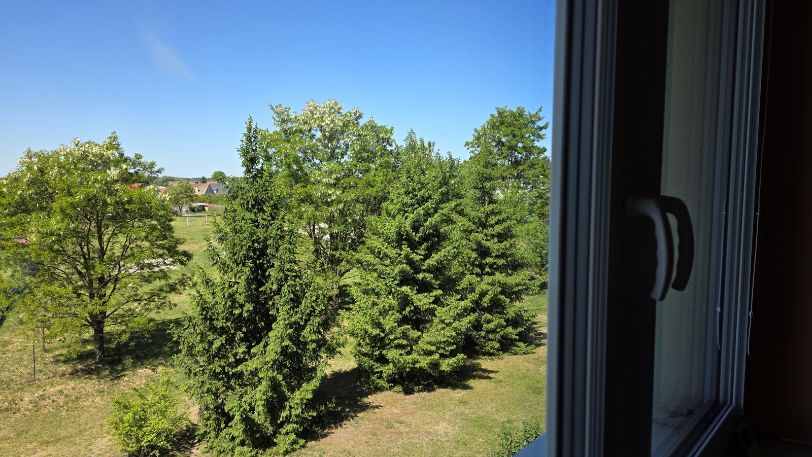 banner-image