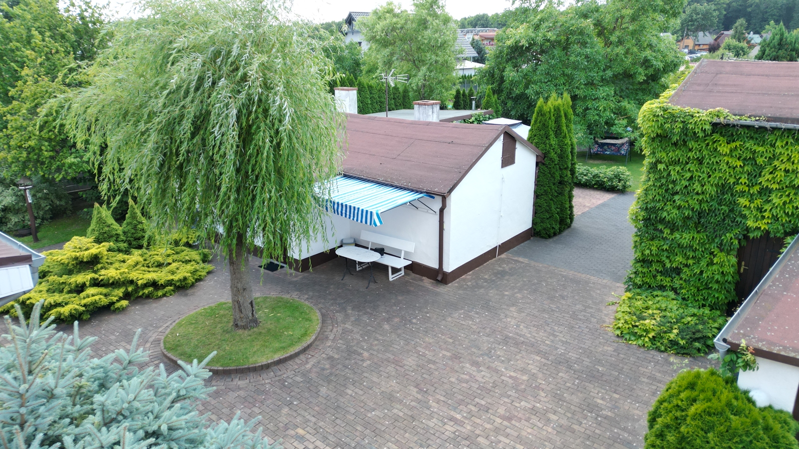 banner-image