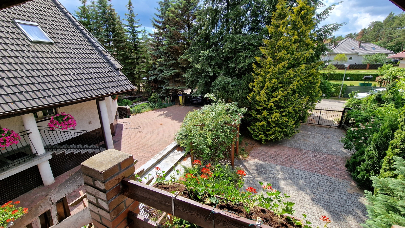 banner-image