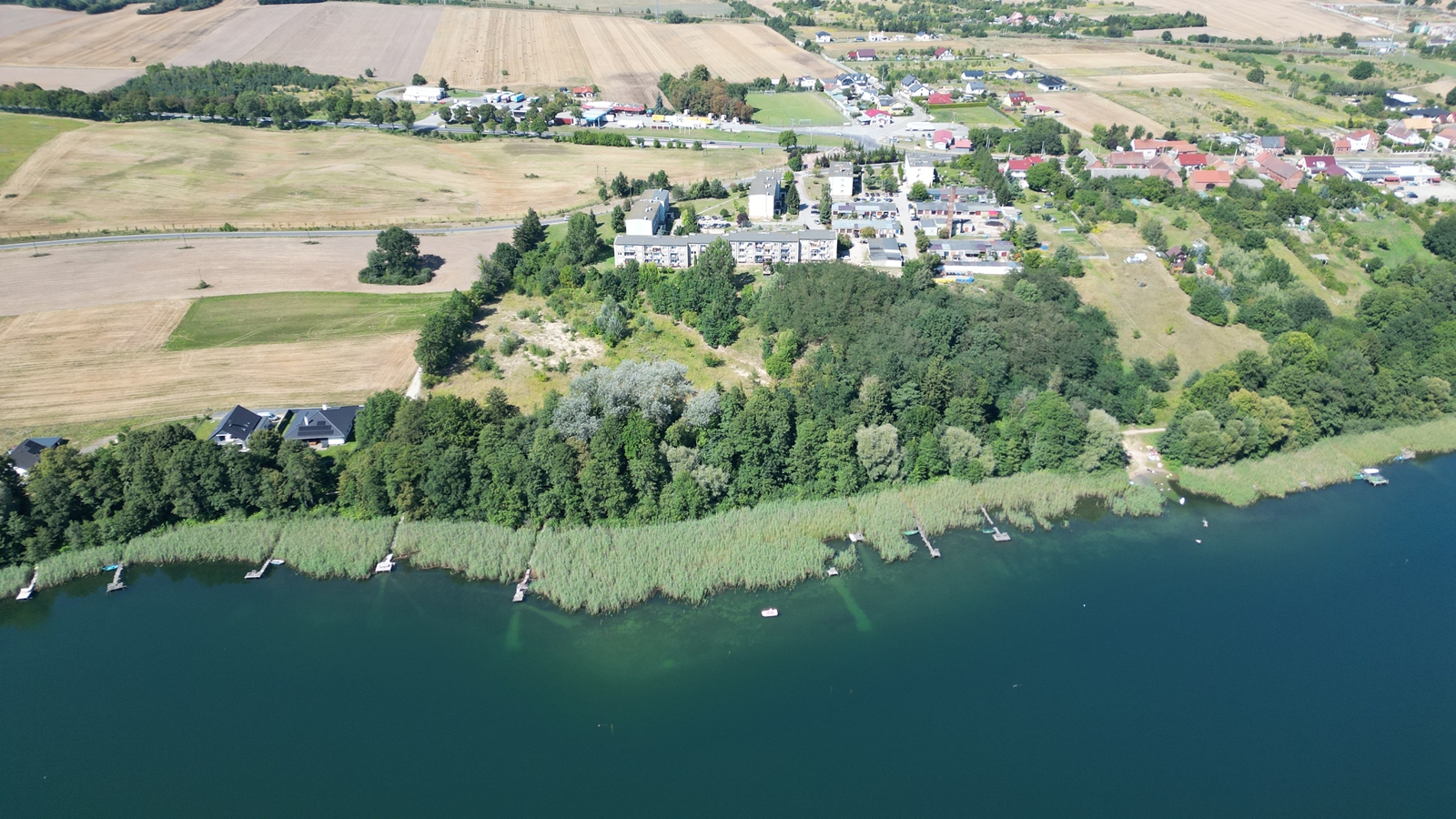 banner-image