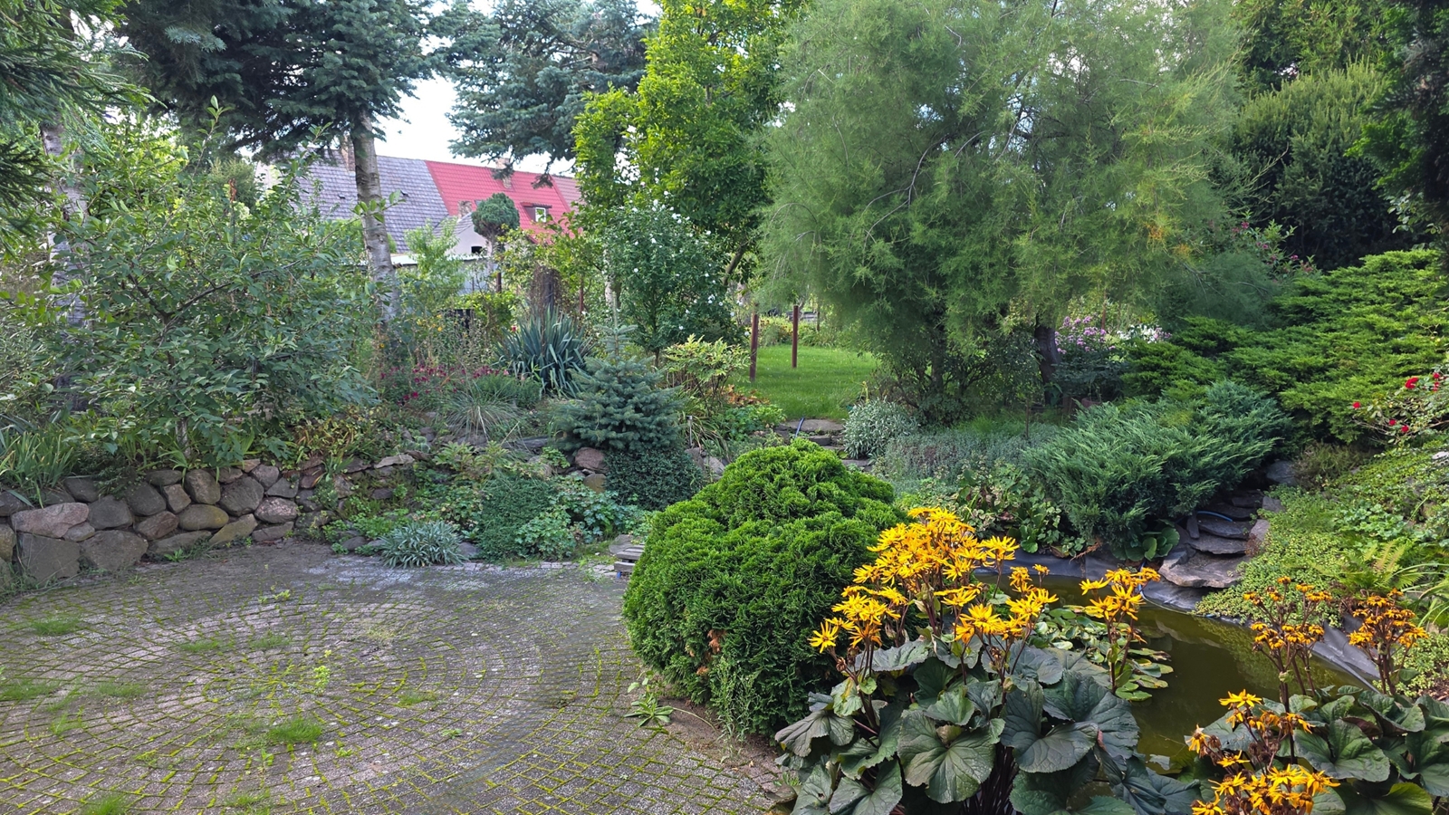 banner-image