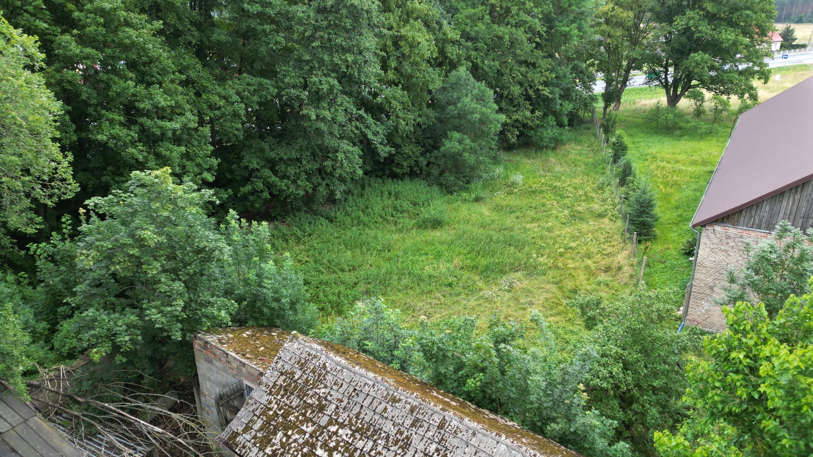banner-image