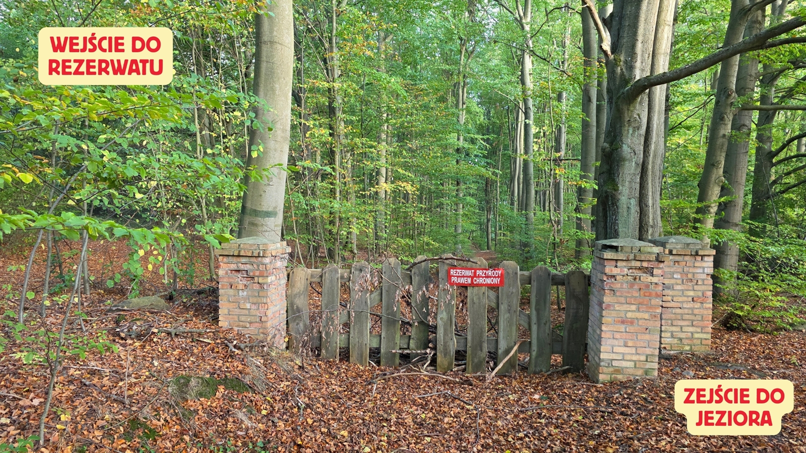 banner-image