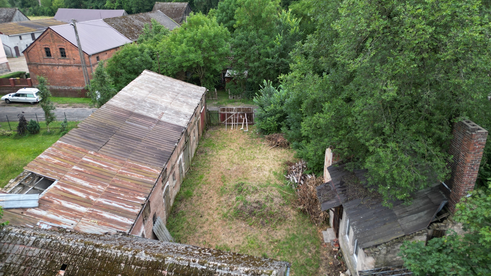banner-image